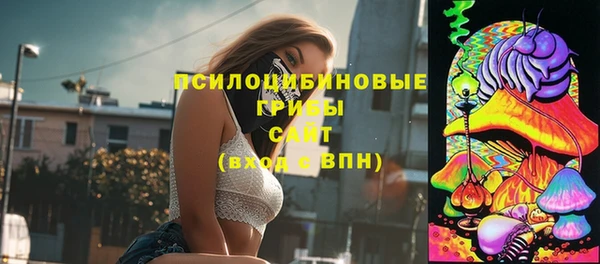 гидропоника Заводоуковск
