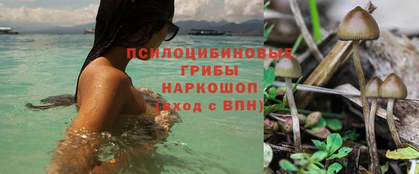 спайс Осташков