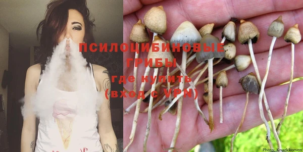 спайс Осташков